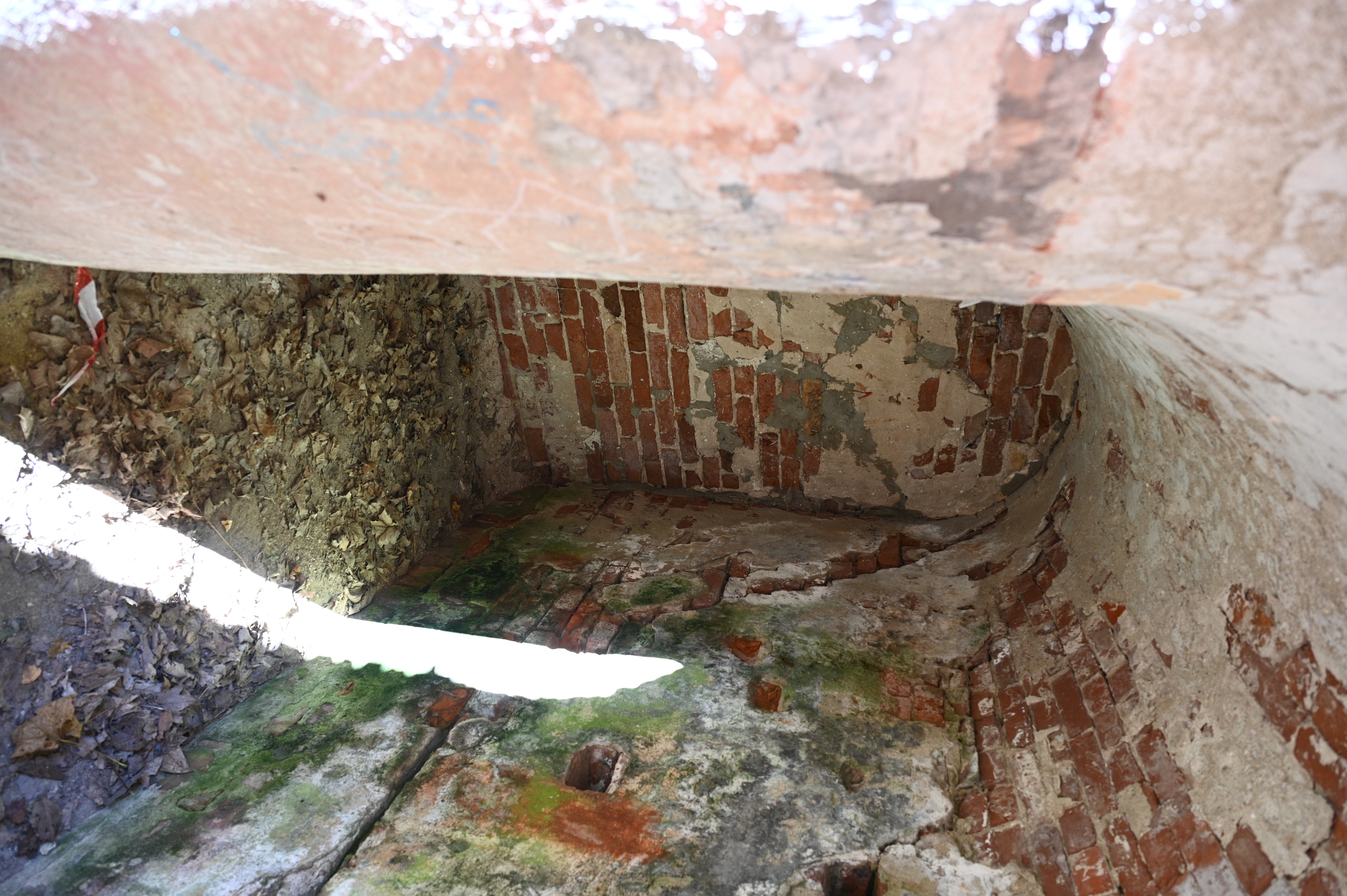 2025/10/18 - walk/DSC_0044.JPG